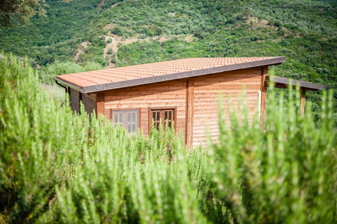 Agricampeggio Gole di Tiberio Hotel Castelbuono  Esterno foto